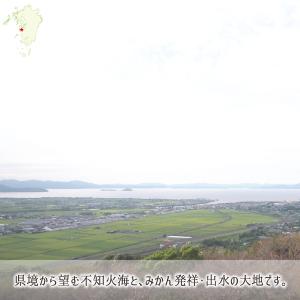 不知火(デコポン) 秀品 3L 3kg 減農薬...の詳細画像1