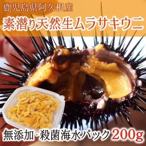 天然素潜り 生ムラサキウニ 鹿児島県阿久根産 無添加 紫外線殺菌海水パック 200g 盛付用ウニ殻1個付 4月上旬〜6月中旬 送料無料｜musubi-ichiba