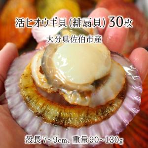 ヒオウギ貝 蒲江の商品一覧 通販 Yahoo ショッピング