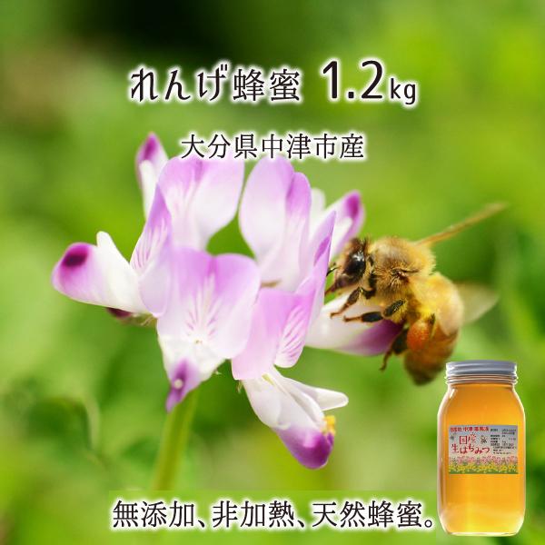 レンゲ蜂蜜 糖度79度以上 無添加 非加熱 全原材料国産 天然 純粋蜂蜜 大分県耶馬渓産 2026年...