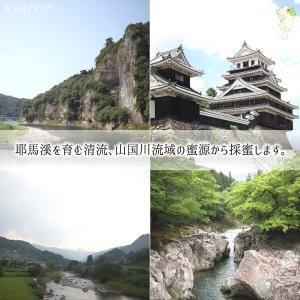 レンゲ蜂蜜 糖度79度以上 無添加 非加熱 全...の詳細画像1