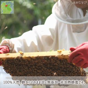 レンゲ蜂蜜 糖度79度以上 無添加 非加熱 全...の詳細画像2