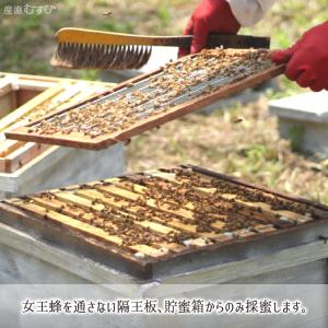 レンゲ蜂蜜 糖度79度以上 無添加 非加熱 全...の詳細画像4