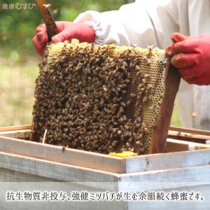レンゲ蜂蜜 糖度79度以上 無添加 非加熱 全...の詳細画像5