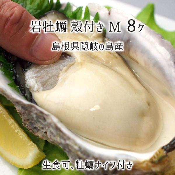 岩牡蠣(生食可) Mサイズ 8個 約2.3kg 島根県隠岐の島産 (体量251〜300g、殻長12〜...