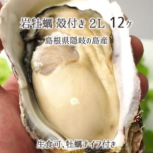 岩牡蠣(生食可) 2Lサイズ 12個 約4.5kg 島根県隠岐の島産 (体量351〜400g、殻長15〜20cm) カキナイフ付 岩カキ 5月下旬〜6月中旬 送料無料