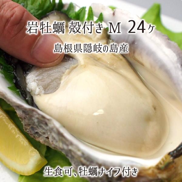 岩牡蠣(生食可) Mサイズ 24個 約7kg 島根県隠岐の島産 (体量251〜300g、殻長12〜1...