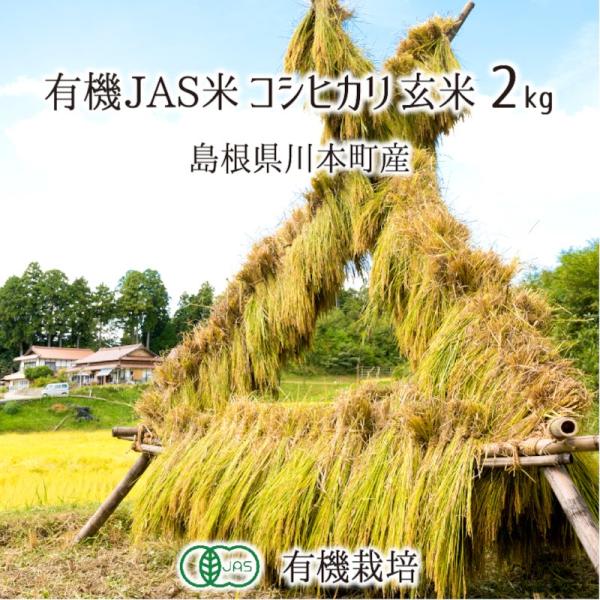 有機JAS認証米 コシヒカリ 玄米 2kg 農薬不使用 有機栽培 はで干し 天日乾燥 自家採種 島根...