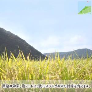 隠岐藻塩米 特別栽培 コシヒカリ 白米 5kg...の詳細画像1
