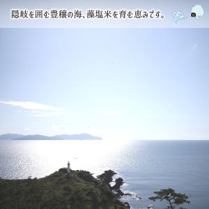隠岐藻塩米 特別栽培 コシヒカリ 白米 5kg...の詳細画像2