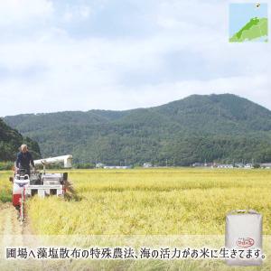 隠岐藻塩米 特別栽培 コシヒカリ 白米 5kg...の詳細画像4