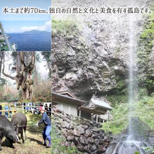 隠岐藻塩米 特別栽培 コシヒカリ 白米 5kg...の詳細画像5