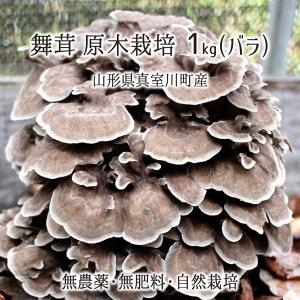 原木舞茸 1kg(バラ) 山形県真室川町産 無農薬 無肥料 自然栽培