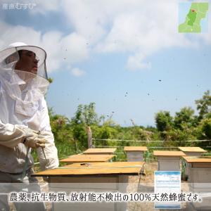 アカシア蜂蜜(糖度80以上、純度90以上) 無...の詳細画像2