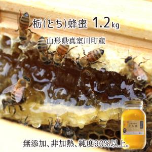 とち蜂蜜(糖度80以上、純度90以上) 無添加 非加熱 全原材料国産 天然 純粋蜂蜜 山形県真室川町産 2025年採蜜 1.2kg 送料無料
