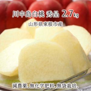 桃 川中島白桃 秀品 約2.7kg 減農薬 無化学肥料 無袋 特別栽培 山形県東根市産 8〜10玉 8月下旬〜9月上旬 送料無料