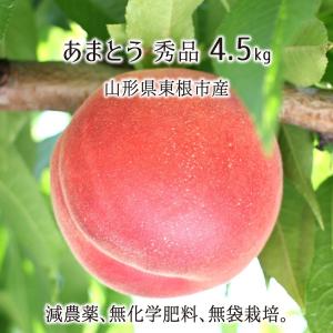 桃 あまとう 秀品 約4.5kg 減農薬 無化学肥料 無袋 特別栽培 山形県東根市産 14〜18玉 8月初旬〜8月中旬 送料無料