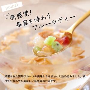 ドライフルーツティー フルーツティー 紅茶 ギ...の詳細画像2