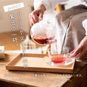 ドライフルーツティー フルーツティー 紅茶 ギ...の詳細画像4