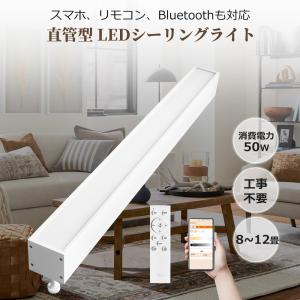 岩崎電気 岩崎 HIDカラーランプ（水銀灯系） 1000W 一般形