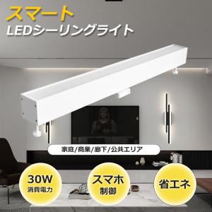 Panasonic（パナソニック） XLJ4100LE9 (NNF41310LE9+FK70310+FP21400