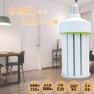 岩崎電気 岩崎 LDS63N-G-E39FB LEDライトバルブF 水銀灯250W相当 昼