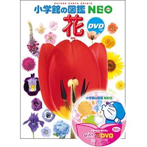 DVD付 花 (小学館の図鑑 NEO)
