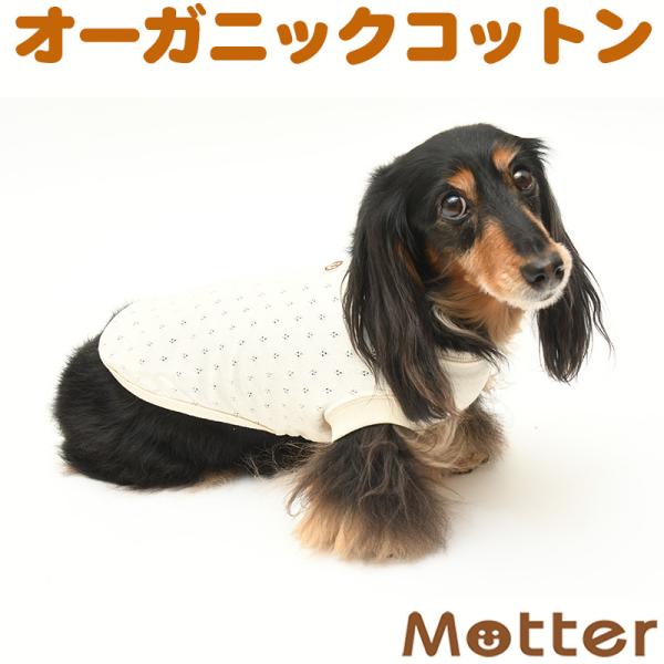 犬服 中型犬 服 メッシュ裏毛ノースリーブ/4-6号 春 夏