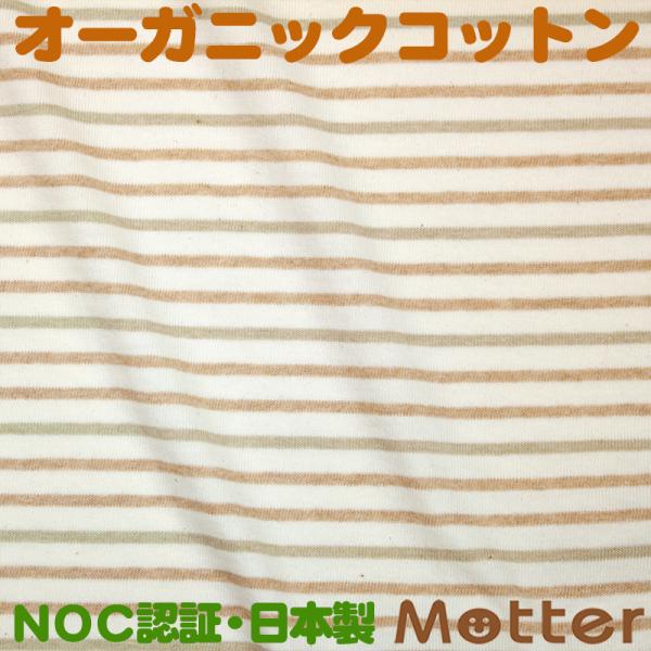 オーガニックコットン 生地20/1天竺 3色ボーダー
