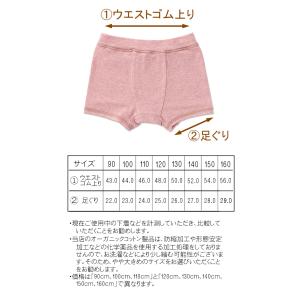 子供下着 パンツ 男 キッズ オーガニックコッ...の詳細画像3