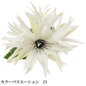 フラダンス ハワイアン 髪飾り フラ シャリー...の詳細画像5