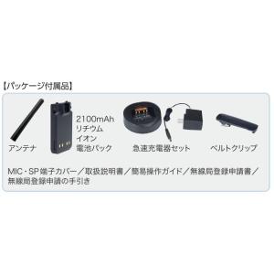 スタンダード VXD30 登録局 増波モデル ...の詳細画像2