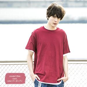 tシャツ メンズ ユニセックス 半袖 無地 綿...の詳細画像2