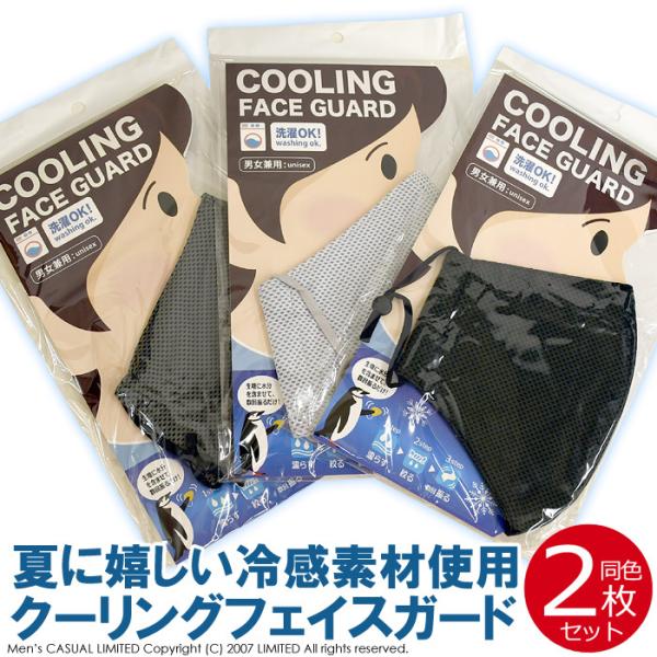 冷感 メッシュマスク 夏用 2枚セット 立体マスク ダスト 花粉 飛沫対策 男女兼用 在庫有り 日本...