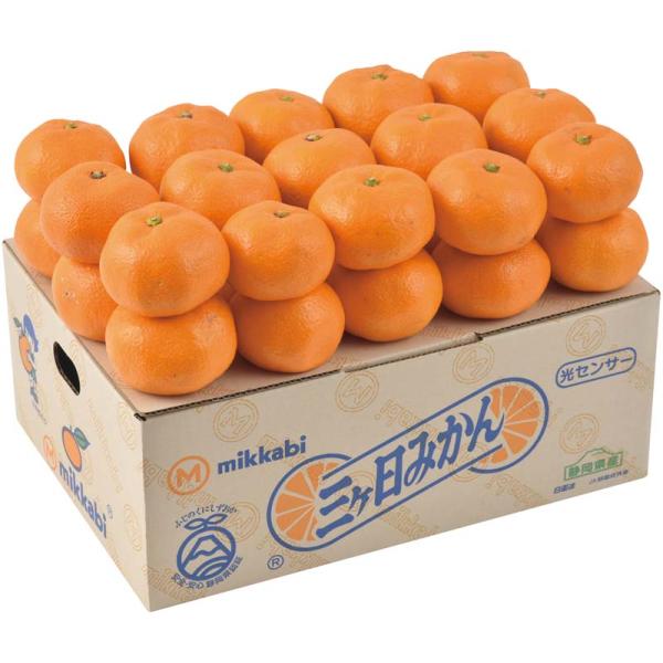 ★11/5 23:59までボーナスストアPlus+10%★お歳暮 静岡県産 三ケ日みかん