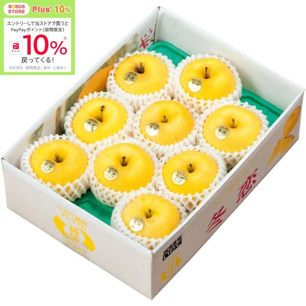 お歳暮 岩手県産（全農岩手・花巻園芸センター） 蜜入りはるかりんご（冬恋）