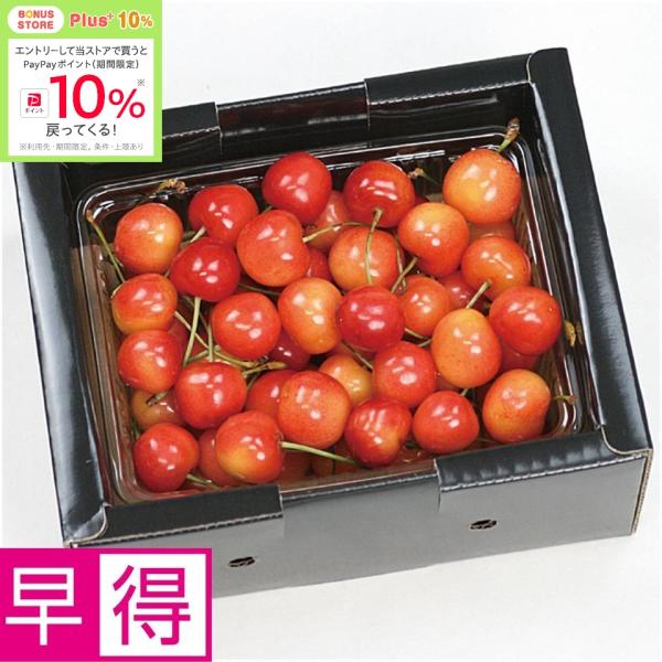 ★4/3 23:59までボーナスストアPlus+10%★父の日早得 山形県産さくらんぼ（佐藤錦又は紅...