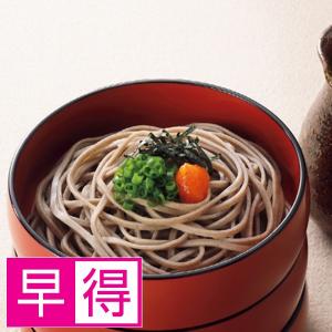森山園 出雲半なまそばセット