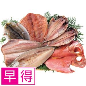 【夏ギフト早得】小田原山安　大ぶり干物詰合せ（６種７枚）