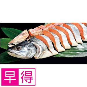 別海漁業協同組合 根室海峡産　新巻鮭山漬け姿切身（中辛塩味）