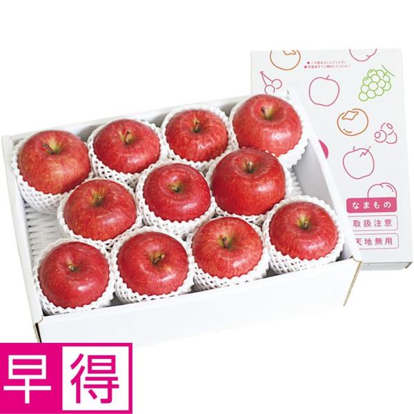 お歳暮早得 福島県産（飯坂） 木村さん自慢のサンふじりんご　秀品、Ｌ又は2Ｌサイズ、9〜11個、計3...