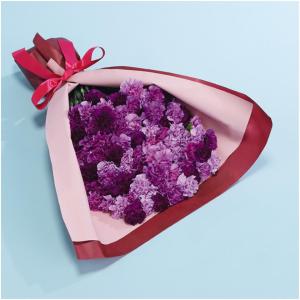 母の日 茨木春草園100本のムーンダストブーケ