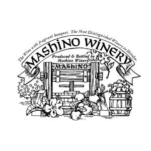 お中元 信州まし野ワイン 林檎のスパークリング...の詳細画像2