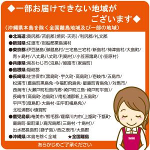 お中元早得 北海道産 ふらのメロン優品3Lサイ...の詳細画像4
