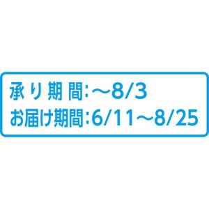 お中元 やまや 無着色辛子明太子450gの詳細画像3