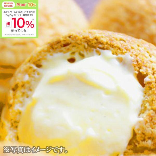 ★4/3 23:59までボーナスストアPlus+10%★【住吉屋】とろける・デ・シュー8個入