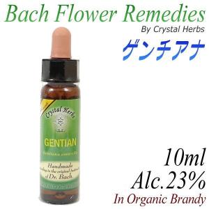 フラワーレメディ　バッチシリーズ（フラワーエッセンス）　ゲンチアナ　10ml（オーガニックブランデー使用）｜my-earth