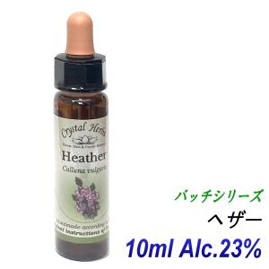 売り切り/1箱のみ/30％OFF】フラワーレメディ バッチシリーズ 40本木製