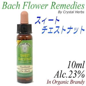 フラワーレメディ　バッチシリーズ（フラワーエッセンス）　スィートチェストナット　10ml（オーガニックブランデー使用）