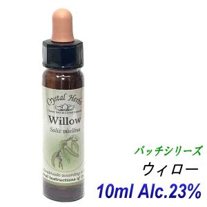 キラリ麹の炭クレンズ生酵素 wカプセル 腸活 ダイエット サプリメント
